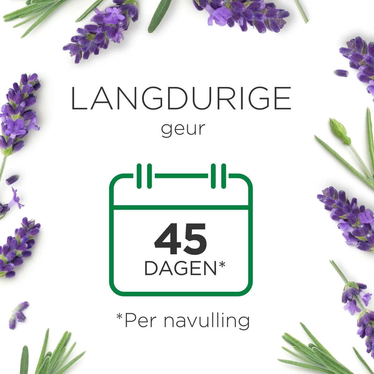 Air Wick Essential Mist Automatische Luchtverfrisser - Ontspannende Lavendel - 3 Navullingen - Afbeelding 3