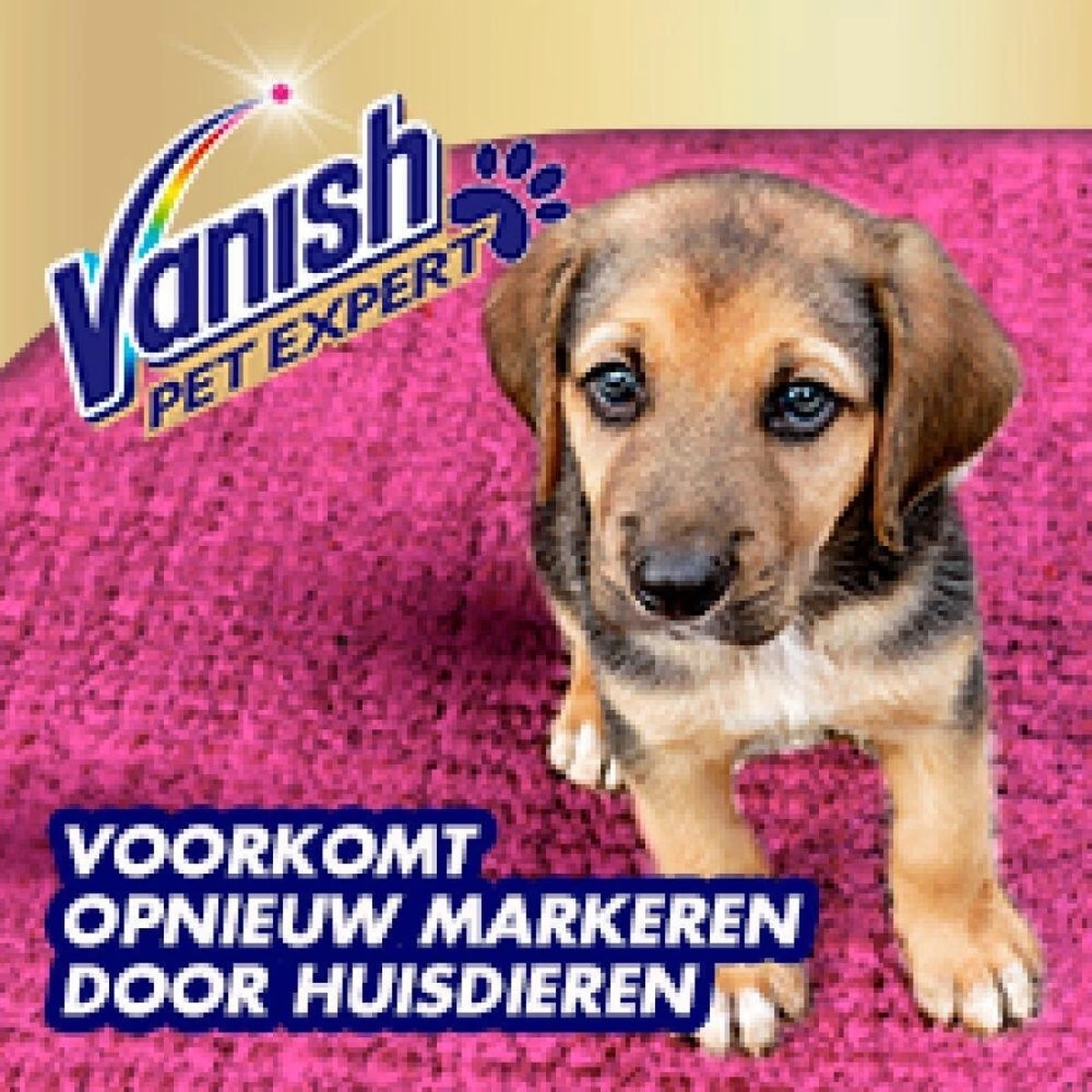 Vanish Pet Expert Schuim 600ml - Afbeelding 4