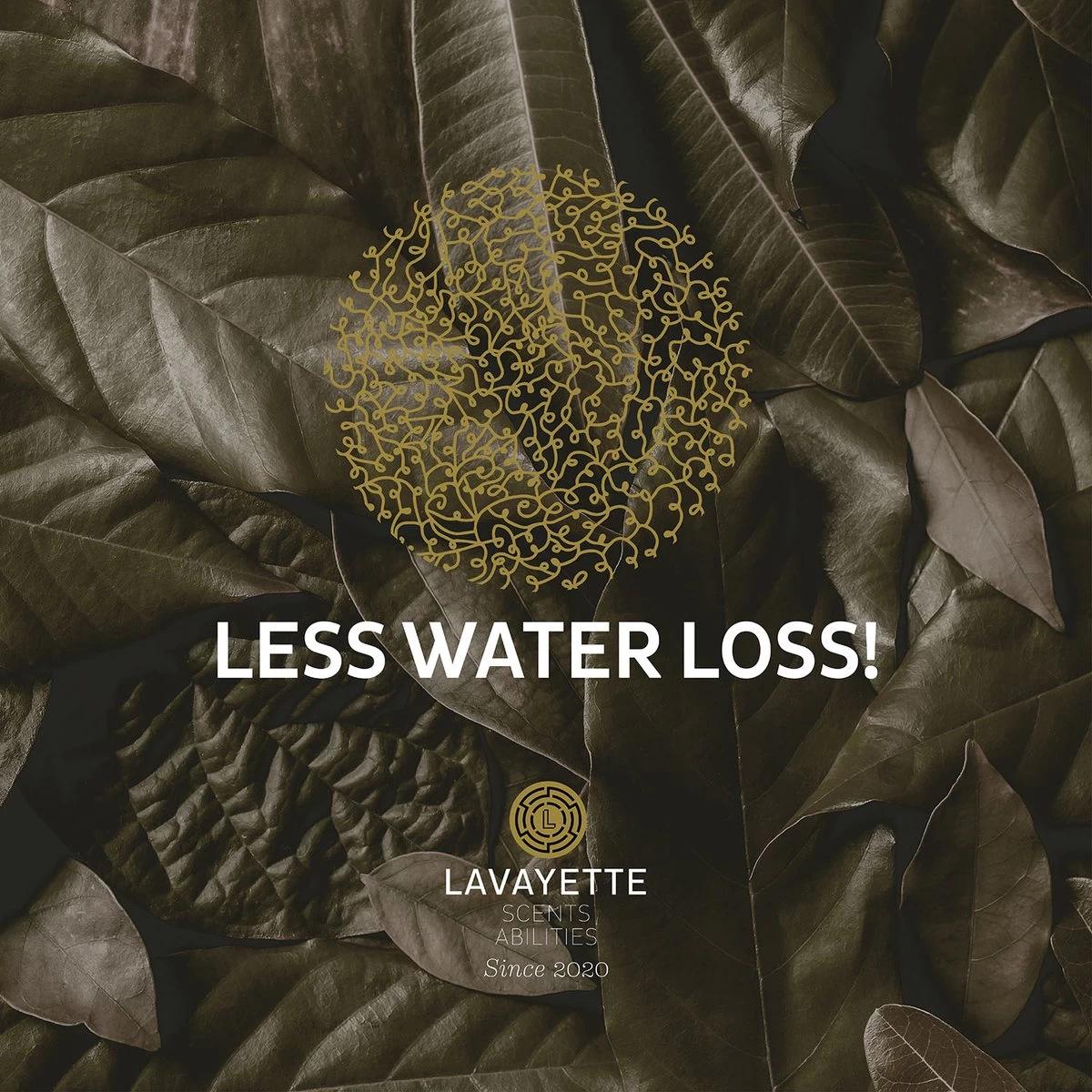 Lavayette XL Drogerballen Met 25ml Wasparfum - WasdrogerBallen – Droogballen – Wasbol – 100% Nieuw-Zeelands Schapenwol – Milieu- En Diervriendelijk – 6 Stuks - Afbeelding 10