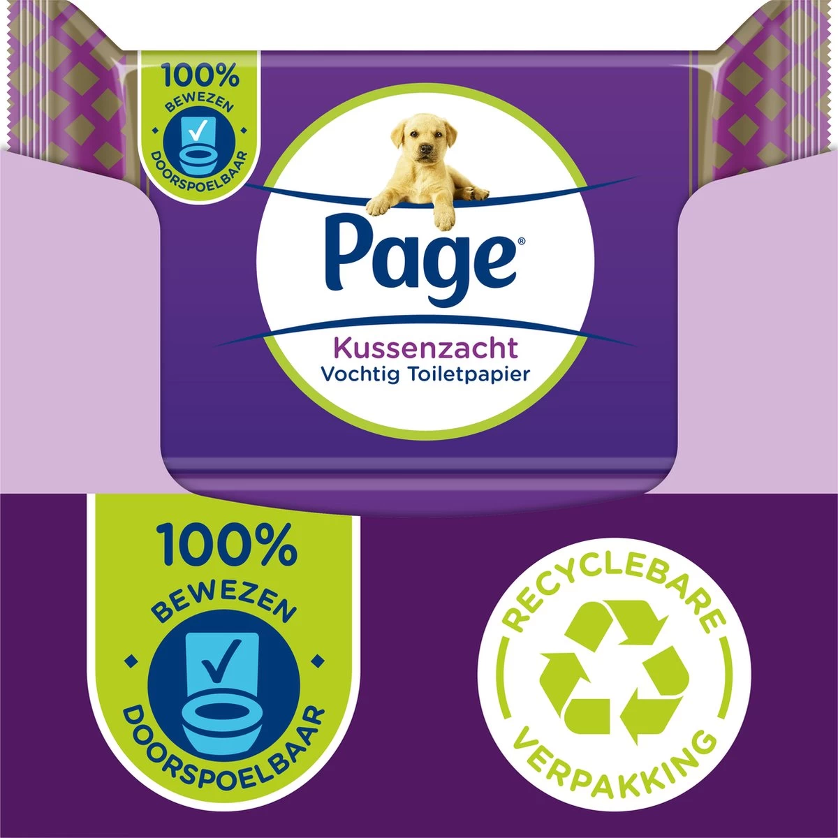 Page Vochtig Toiletpapier - 12 X 38 Stuks - Kussenzacht Vochtig Wc Papier - Voordeelverpakking